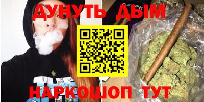 гашик Кимры