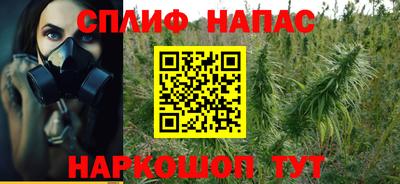 гашик Кимры