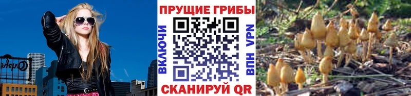Псилоцибиновые грибы Psilocybine cubensis  дарнет шоп  Котельники 
