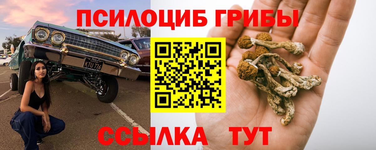 Галлюциногенные грибы GOLDEN TEACHER Котельники