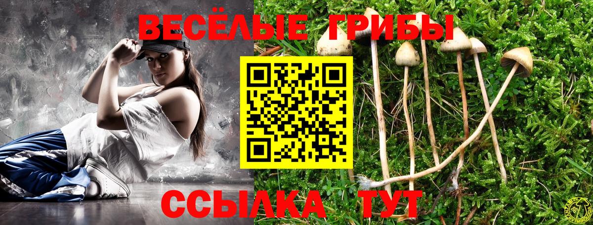 Галлюциногенные грибы Psilocybine cubensis  наркотики  Псилоцибиновые грибы Psilocybe  Котельники  Вход с VPN 